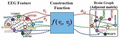 Cross-Subject EEG Emotion Recognition With Self-Organized Graph Neural Network